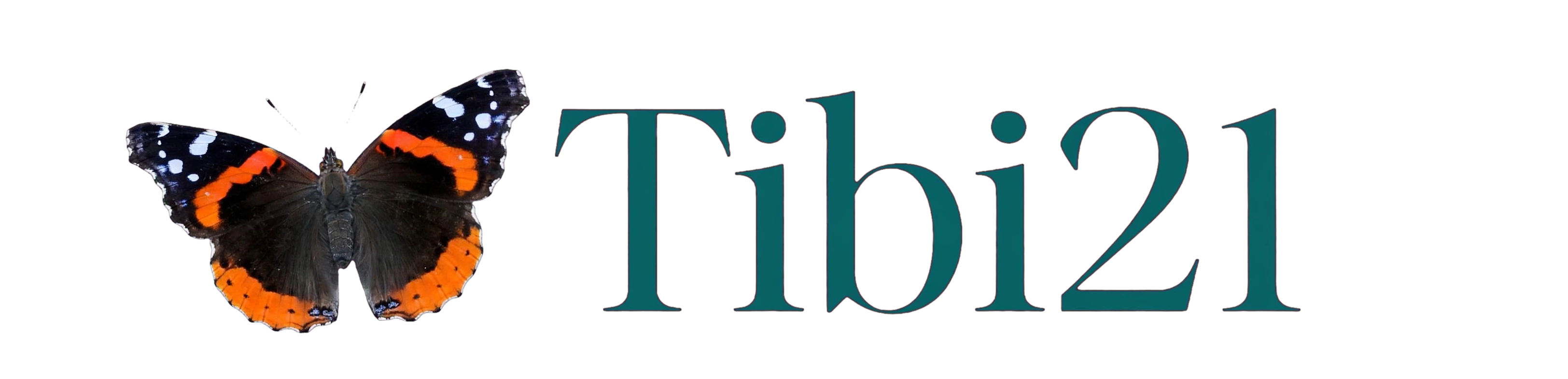 Tibi21