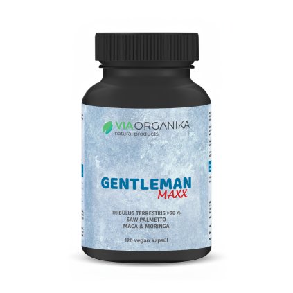 GENTLEMAN MAXX SK verzia mockup