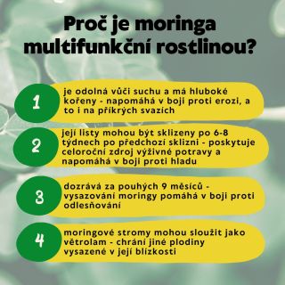 🌿Milí moringoví přátelé, věděli jste, že moringa není jen neuvěřitelně prospěšná pro naše zdraví, ale také sehrává...
