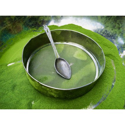 mojeMORINGA 4