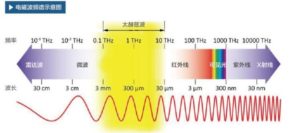 Terahertz terapie objednat si termín - kalendář