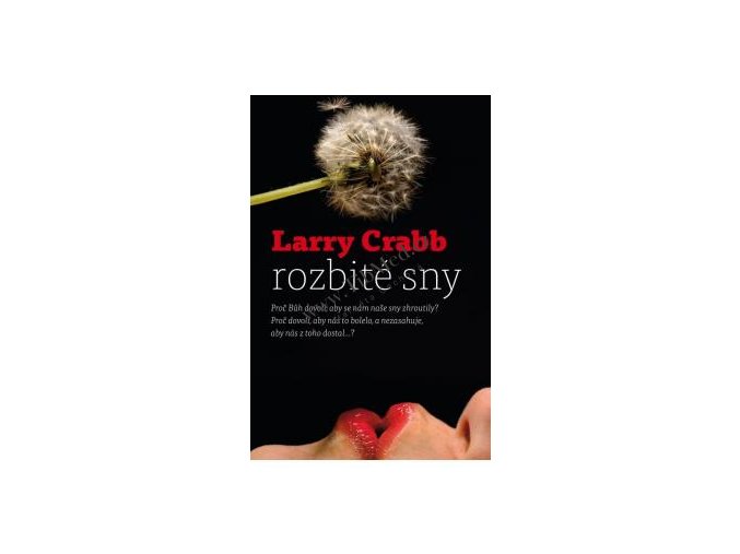 Rozbité sny - Larry Crabb