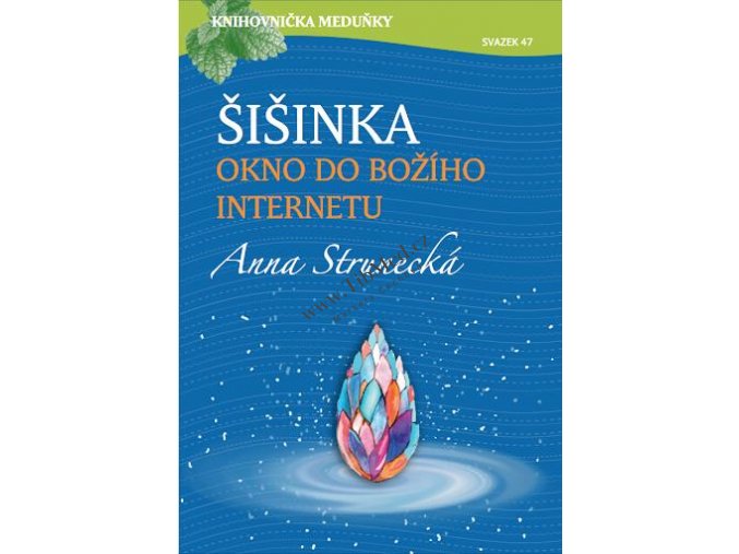 Šišinka - okno do Božího internetu