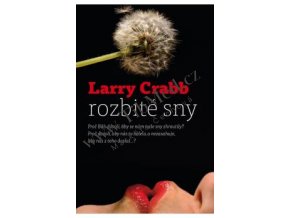 Rozbité sny - Larry Crabb