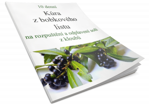 10 denní kúra z bobkového listu formát A4 formát materiálu - tisk/stažení: vytištěný barevně