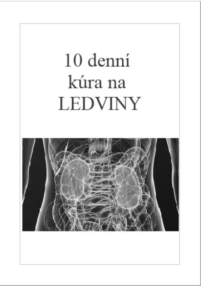 10 denní kúra na ledviny - formát A4 forma: vytištěný černobíle