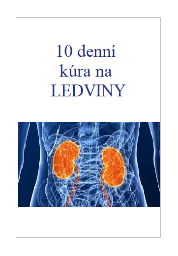 E-book - 10 denní kúra na ledviny