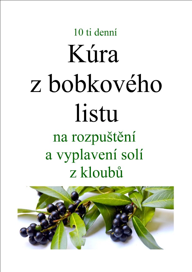 E-book - 10denní kúra s bobkového lilstu