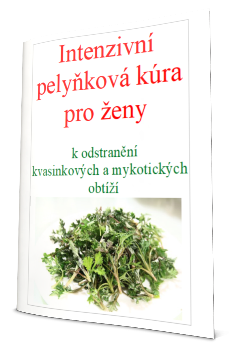 E-book - Pelyňková kúra k odstranění kvasinkových a mykotických obtíží AKTUALIZOVANÝ
