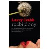 Rozbité sny - Larry Crabb