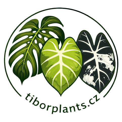 tiborplants.cz