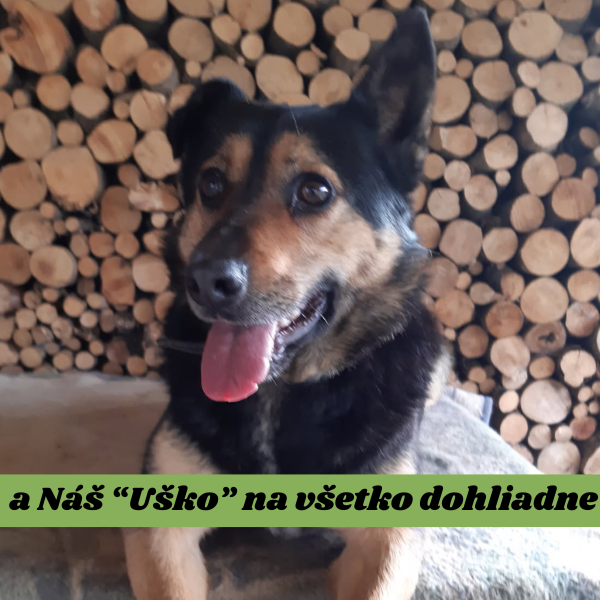 Uško