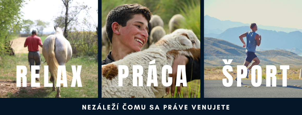 Pohoda 2