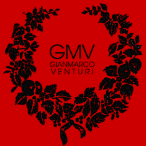 gian-marco-venturi logo