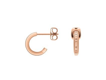 2697 3 daniel wellington ocelove nausnice dw00400146