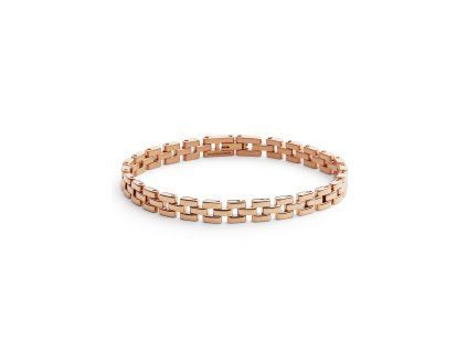 11756 daniel wellington ocelovy naramek 3 link