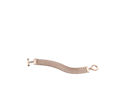 PJ25582BSRG.03