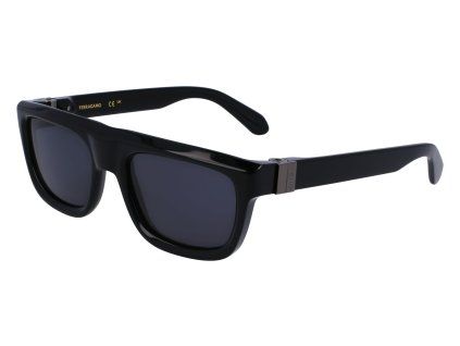 SF2009S 001