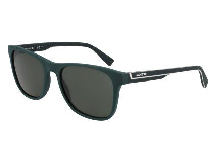 L6031S 301