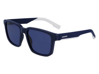 L999S 401