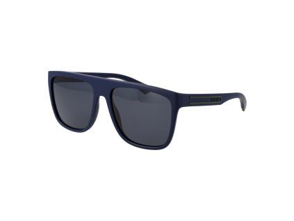 PLD 2162 S 58FLLC3