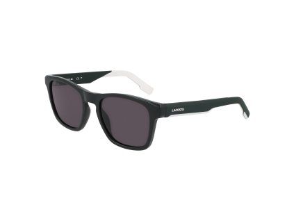 L6018S 301