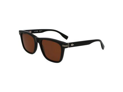 L6045S 1