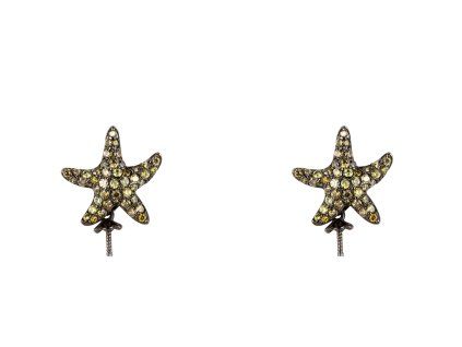 JLA EAR STAR 3