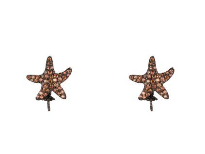 JLA EAR STAR 4
