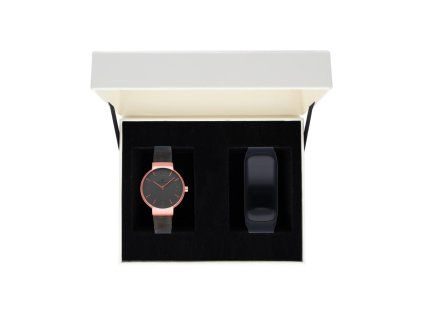RA528601T
