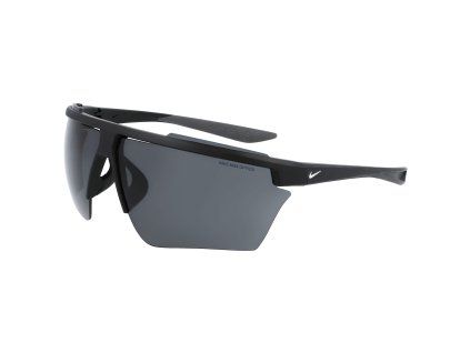 WINDSHIELD PRO DC3391 010