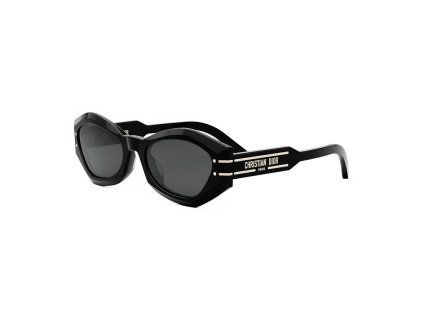 DIORSIGNATURE B1U 10A0