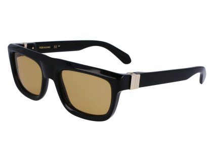 SF2009S 011