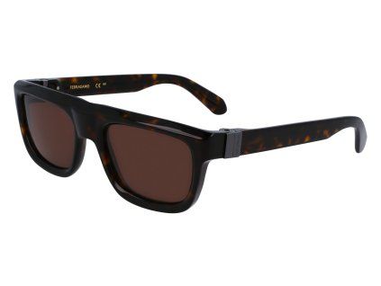 SF2009S 242