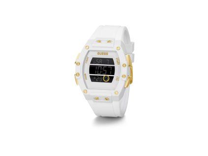 GW0340G1