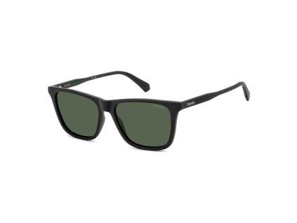 PLD 4190 S 003
