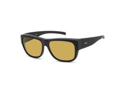 PLD 9003 S 003