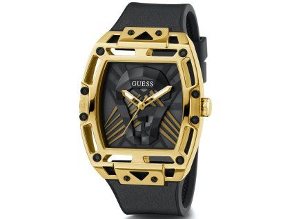GW0500G1