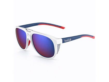 BS036006