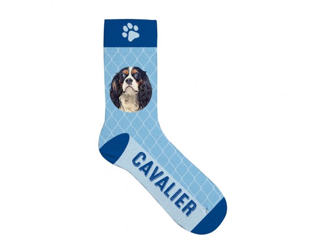 Ponožky Cavalier 36-41