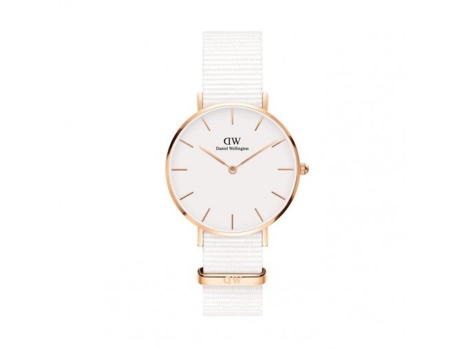 Hodinky DANIEL WELLINGTON model PETITE DOVER DW00100311