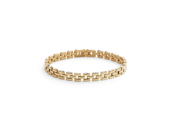 11759 daniel wellington ocelovy naramek 3 link