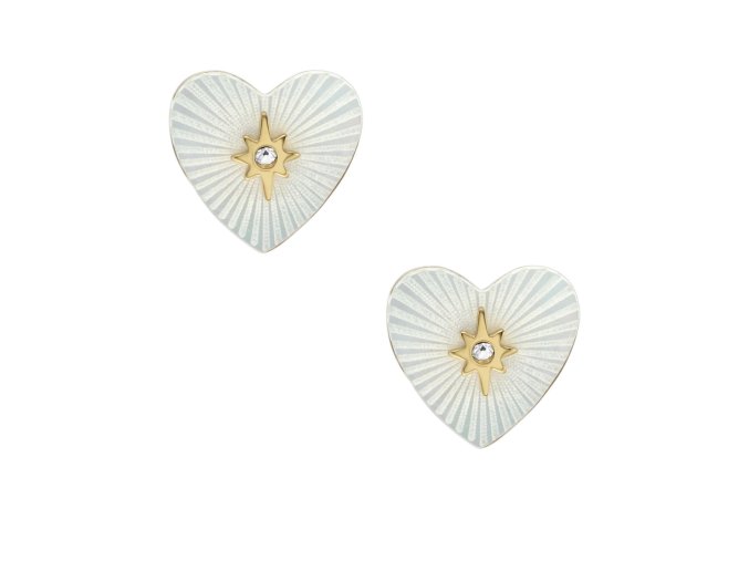 12256 fossil sutton damske nausnice ocelove jf04732710