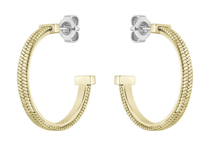 DÁMSKE DÁMSKE NÁUŠNICE BOSS 1580483 (2,5CM )