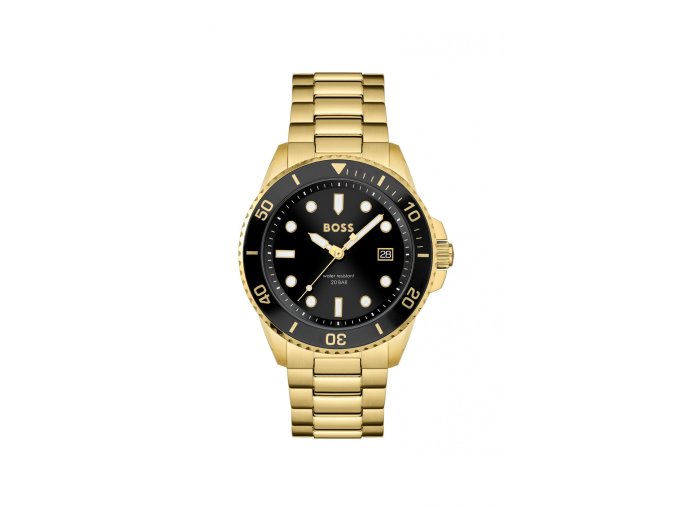 PÁNSKE HODINKY BOSS  1513917 (43 MM)