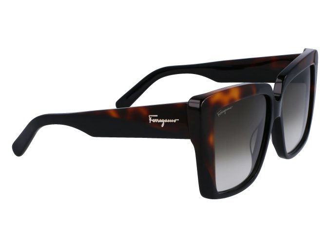 SF1060S 6