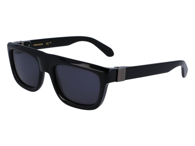 SF2009S 001