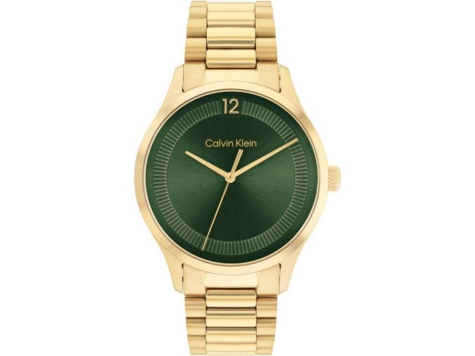 PÁNSKE HODINKY CALVIN KLEIN  25200229 (40MM)