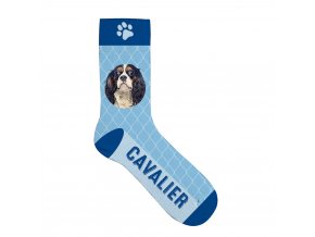 Ponožky Cavalier 36-41