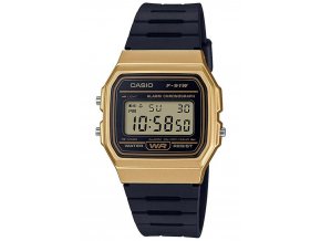 Hodinky CASIO model RETRO VINTAGE F-91WM-9A